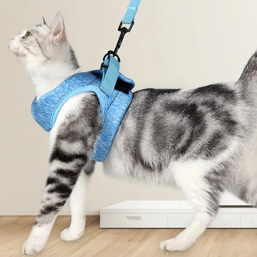 Chat roux assis à côté d'une brosse vapeur sur fond crème