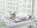 Chat blanc sur un hamac de fenêtre avec ventouses
