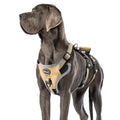 Harnais pour chien anti-traction avec poignée