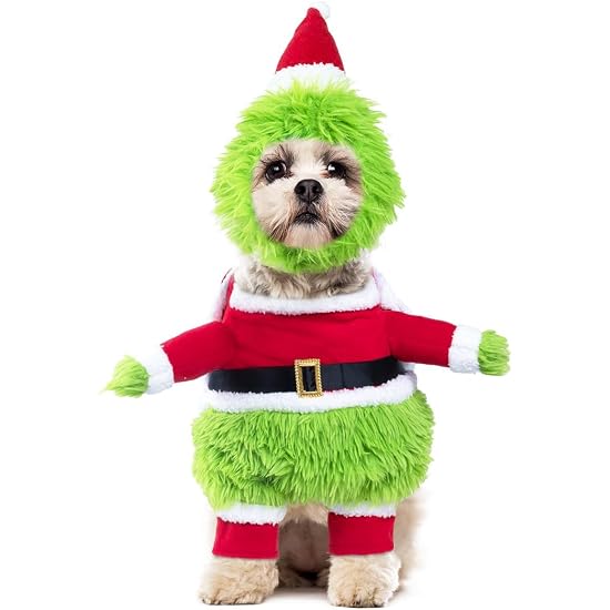 Petit chien portant le costume vert du Grinch avec bonnet de Noël