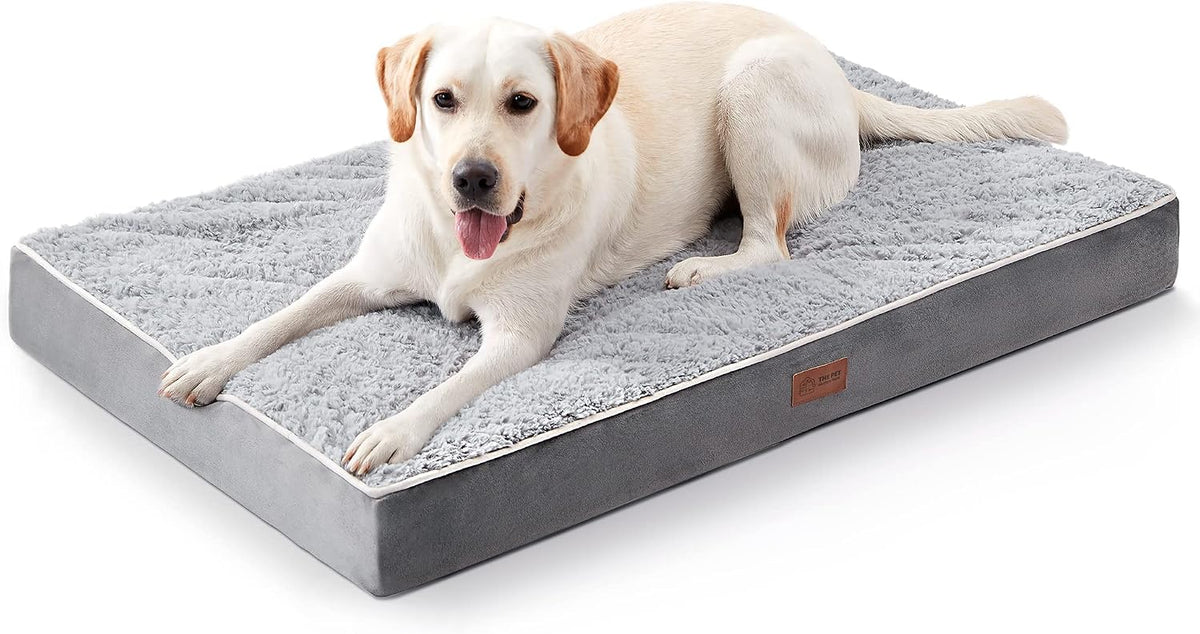 Labrador couché sur le matelas orthopédique gris à surface pelucheuse