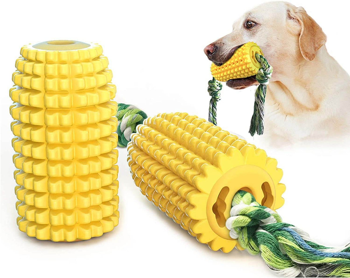 Chien qui mâche le jouet maïs avec corde en coton