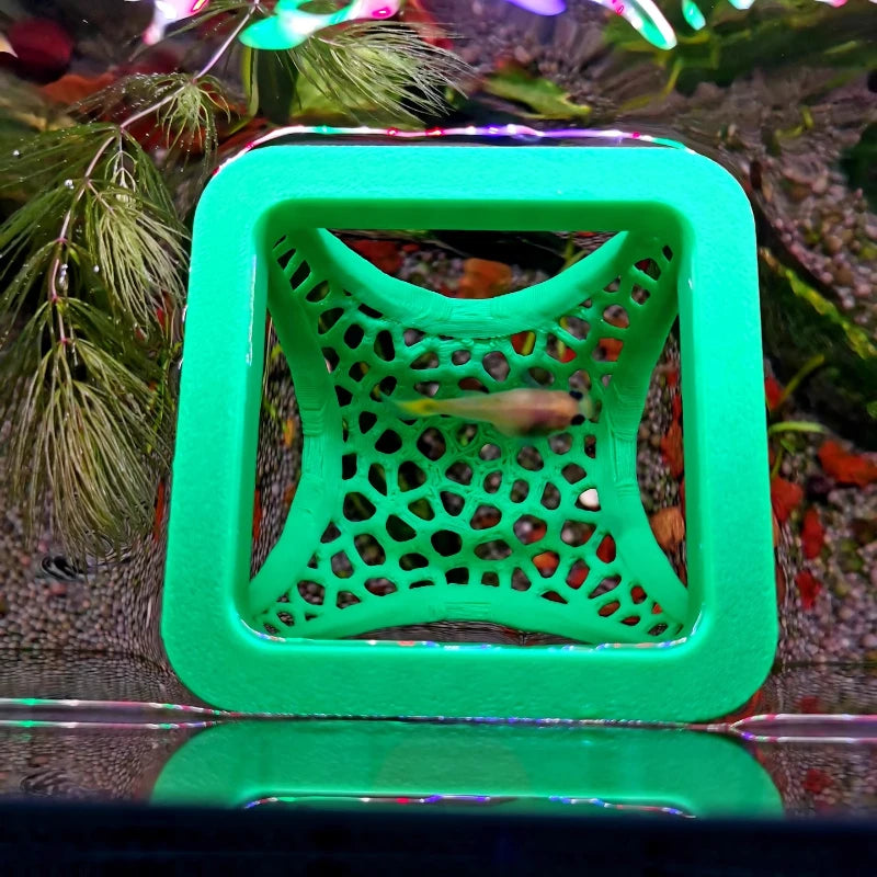 Anneau flottant betta couleur Vert