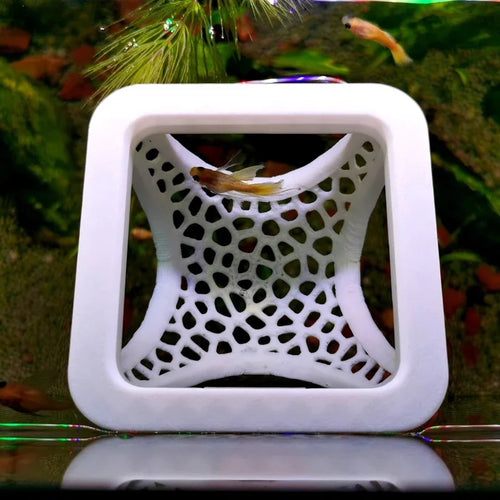 Anneau flottant betta couleur Blanc