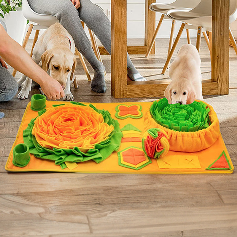 Chien qui fouille dans un tapis de fouille coloré pour trouver des gâteries