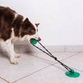 Chien qui tire sur un jouet ventouse avec corde fixé au sol