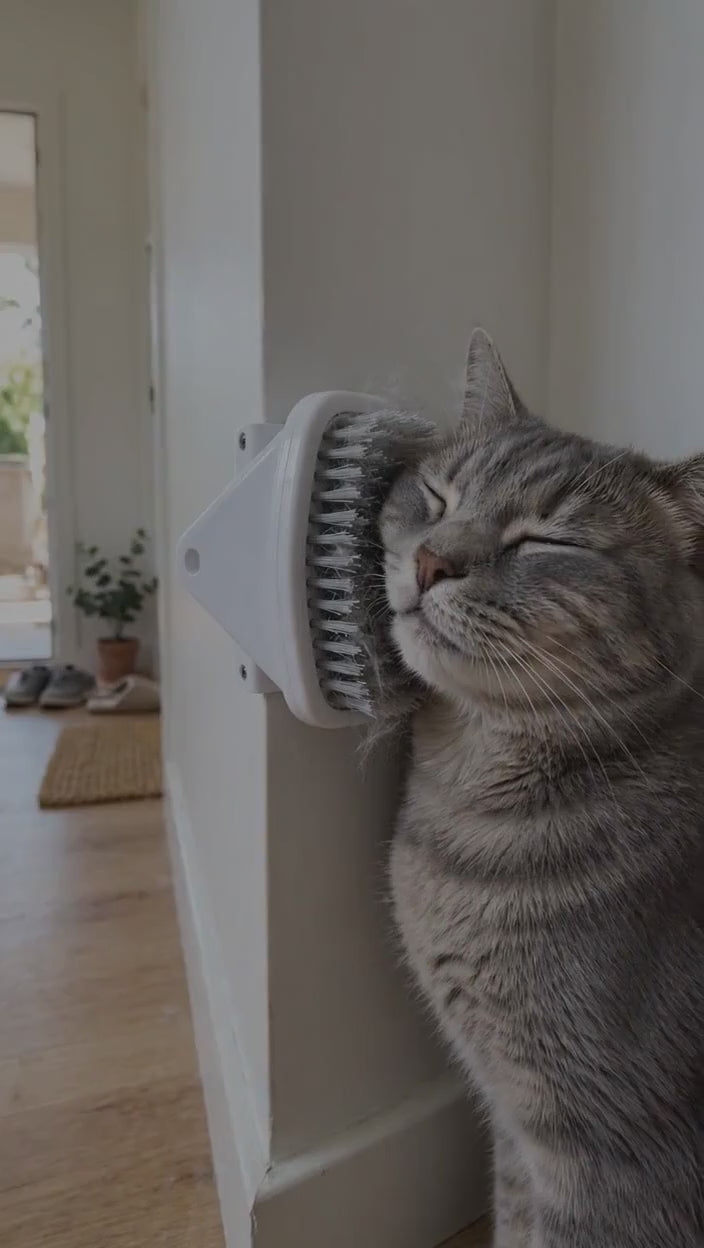 Brosse d'angle