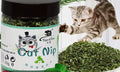 Pot refermable de cataire séchée 20 g Tiger & Rose