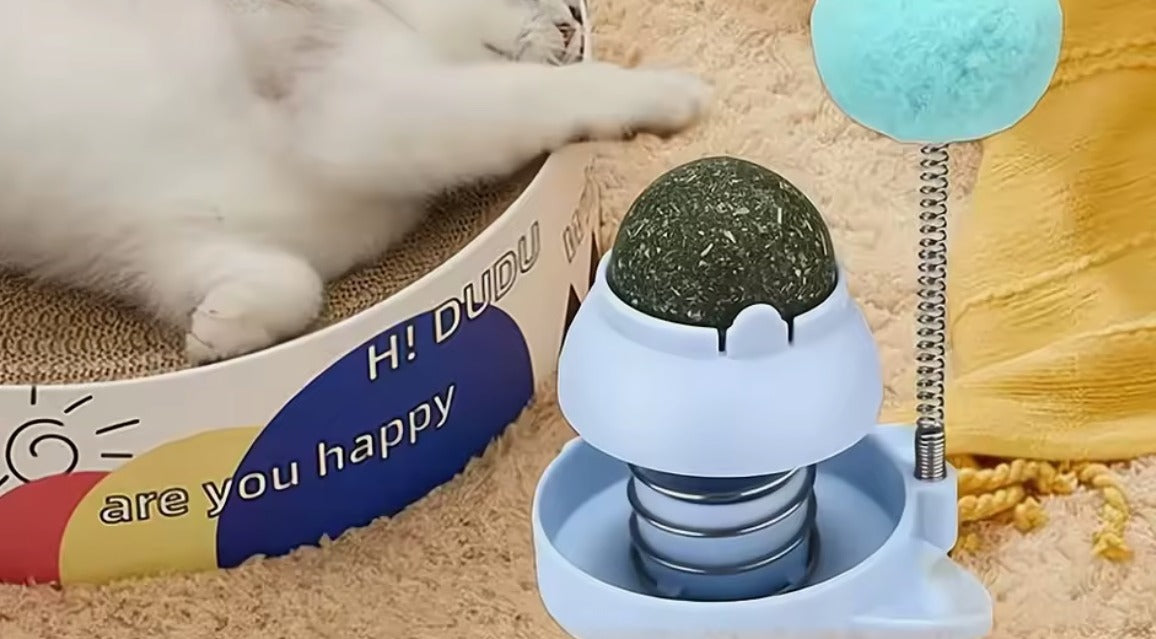 Jouet culbuto bleu avec boule de cataire sur ressort et pompon